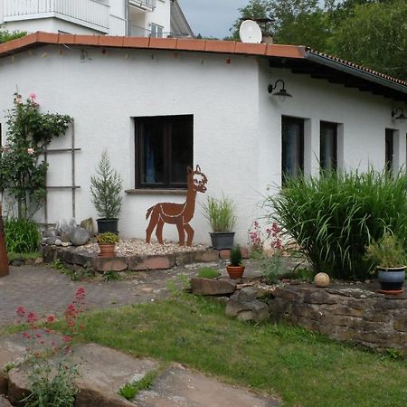Haus Alpaka Vila Bad König Exterior foto